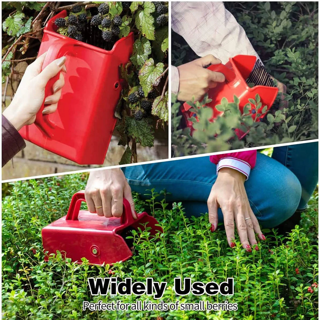 Picker a Clearance, Berry Pickerss with Comb Blueberry Pickerss Scoop with Ergonomic Handle for Easier Berry Harvester Cherryss Pickerss Tools