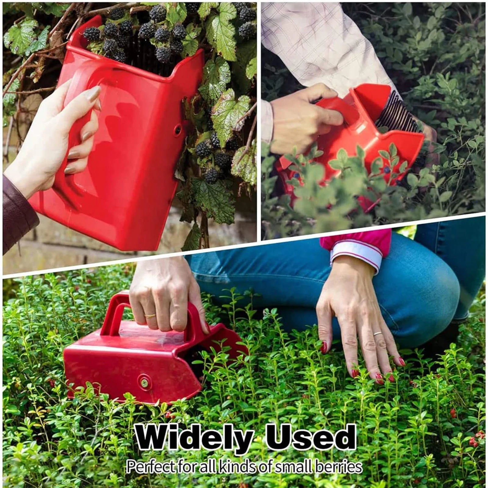 Picker a Clearance, Berry Pickerss with Comb Blueberry Pickerss Scoop with Ergonomic Handle for Easier Berry Harvester Cherryss Pickerss Tools