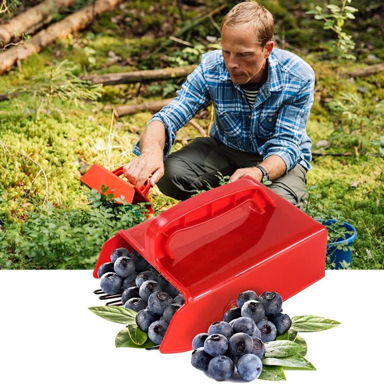 Picker a Clearance, Berry Pickerss with Comb Blueberry Pickerss Scoop with Ergonomic Handle for Easier Berry Harvester Cherryss Pickerss Tools